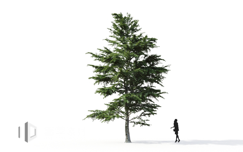 Maxtree - Plant Models Vol.9