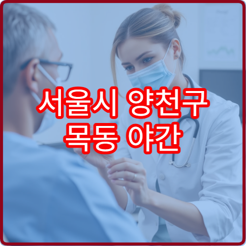서울시 양천구 목동 야간 진료 가능한 이비인후과 야간에도 가능한 진료 범위