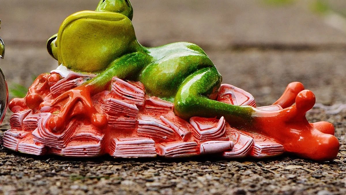 금전 속담에 숨겨진 심리학적 의미와 현대 금융 환경에서의 재해석