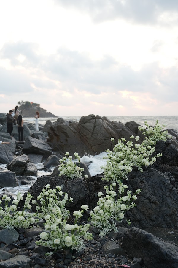 Ảnh bìa album