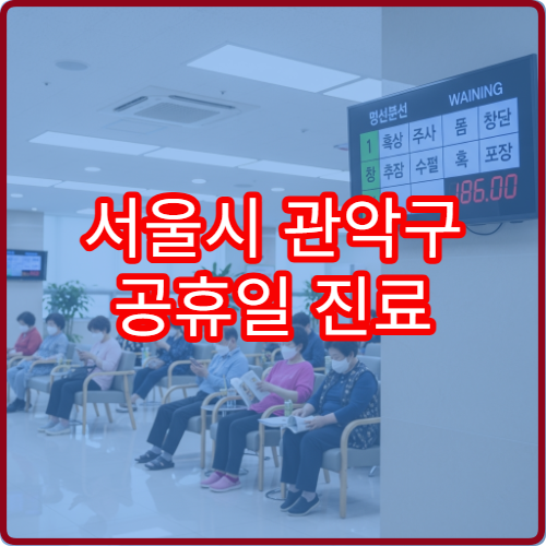 서울시 관악구 공휴일 진료 병원 운영 현황 연휴 응급실 이용 가능 여부 한눈에 확인