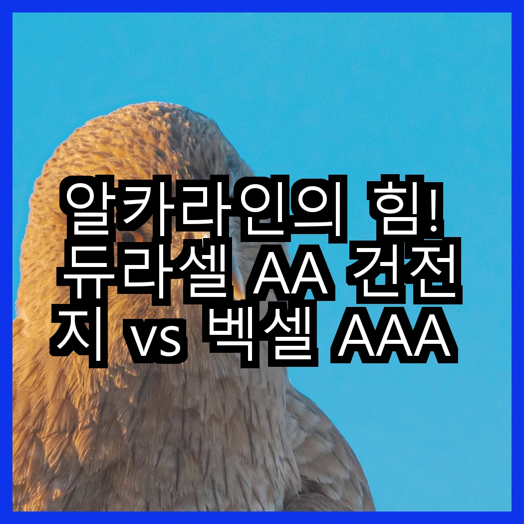 알카라인의 힘! 듀라셀 AA 건전지 vs 벡셀 AAA 건전지, 어떤 선택이 더 현명할까? 썸네일