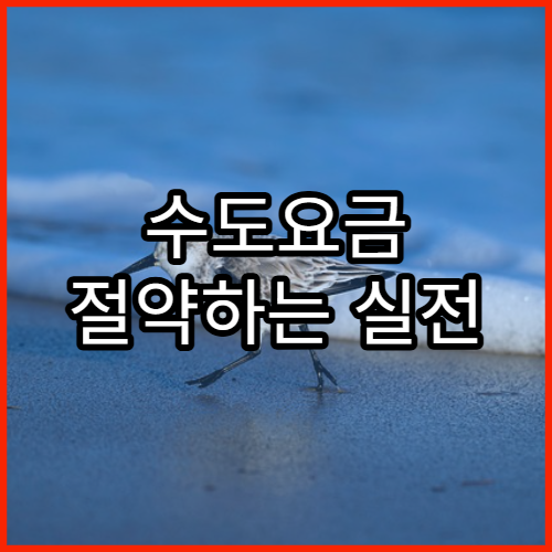 수도요금 절약하는 실전 체크리스트와 주의사항