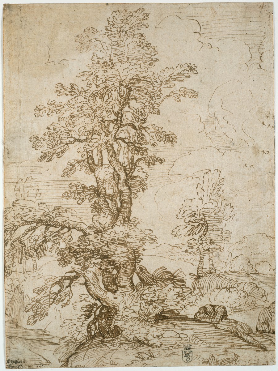 Landscape with Man Sleeping beneath Tree 1595