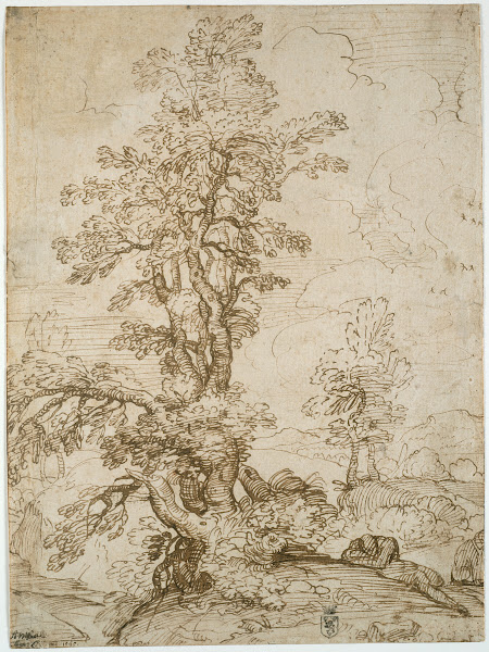 Landscape with Man Sleeping beneath Tree 1595