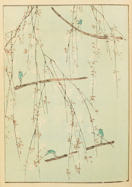 Shin Bijutsukai Pl145 1901 1902