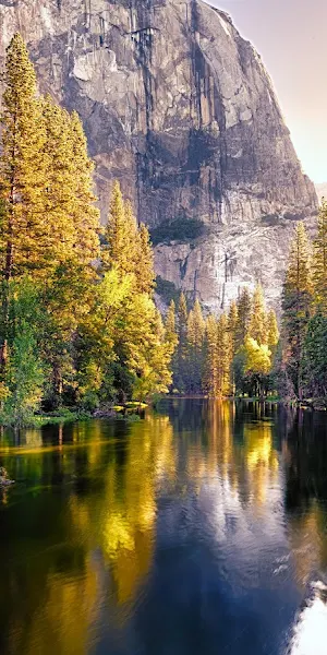 Yosemite National Park River View 5K Wallpaper Background