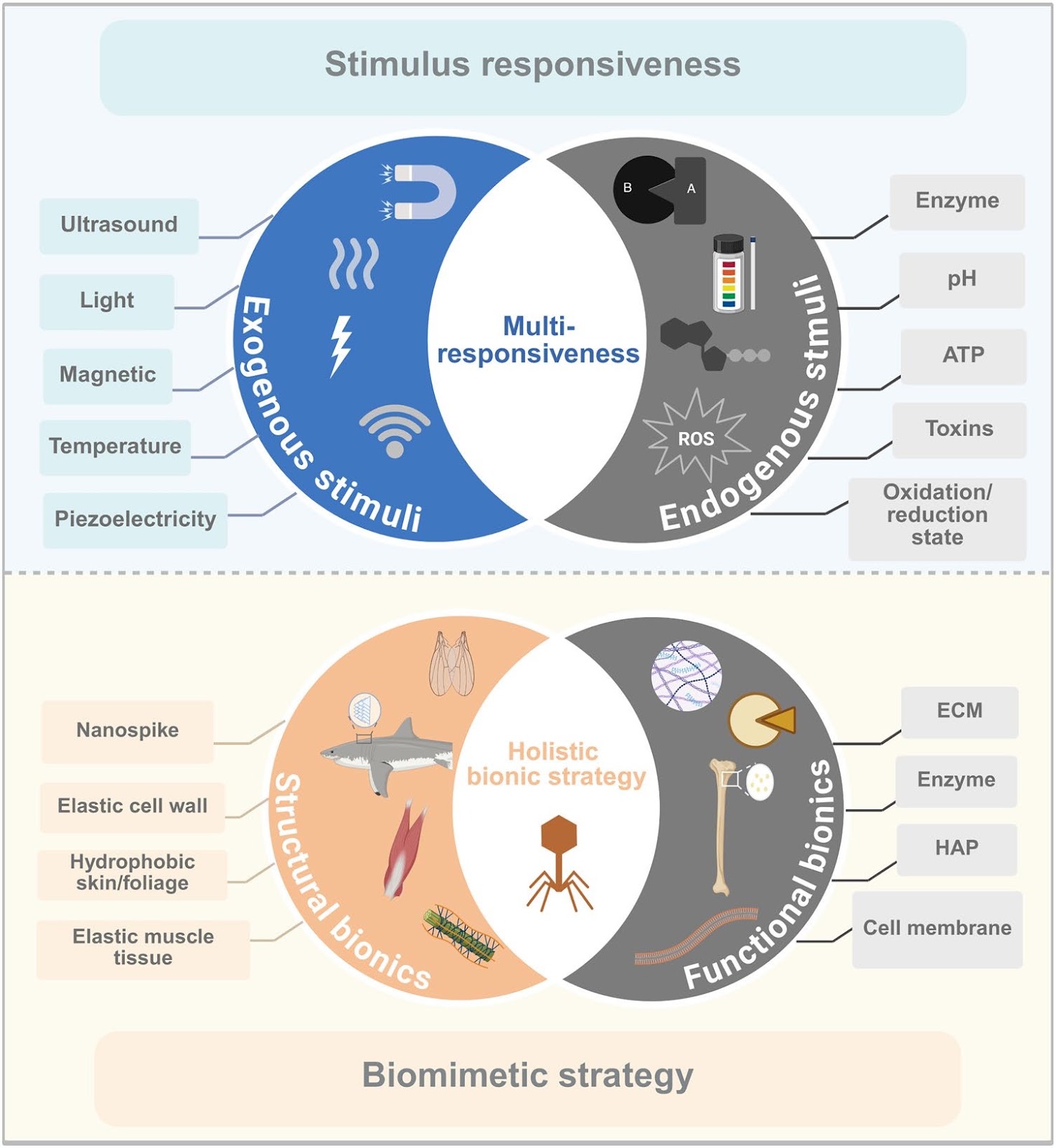 Advanced Nanomedicines for Treating Refractory Inflammation-Related Diseases
