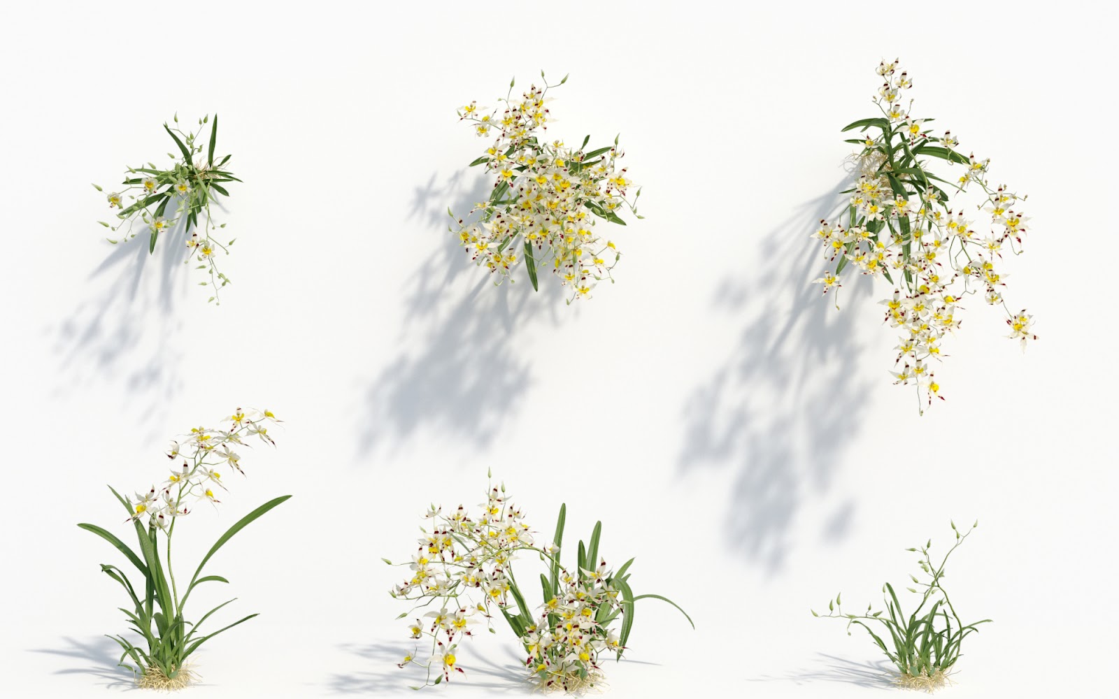 Maxtree - Plant Models Vol.8