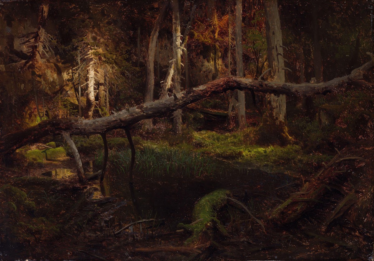 Study of a Decaying Wood 1851