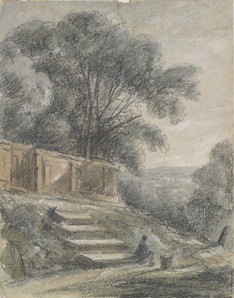 Landscape with sloping steps