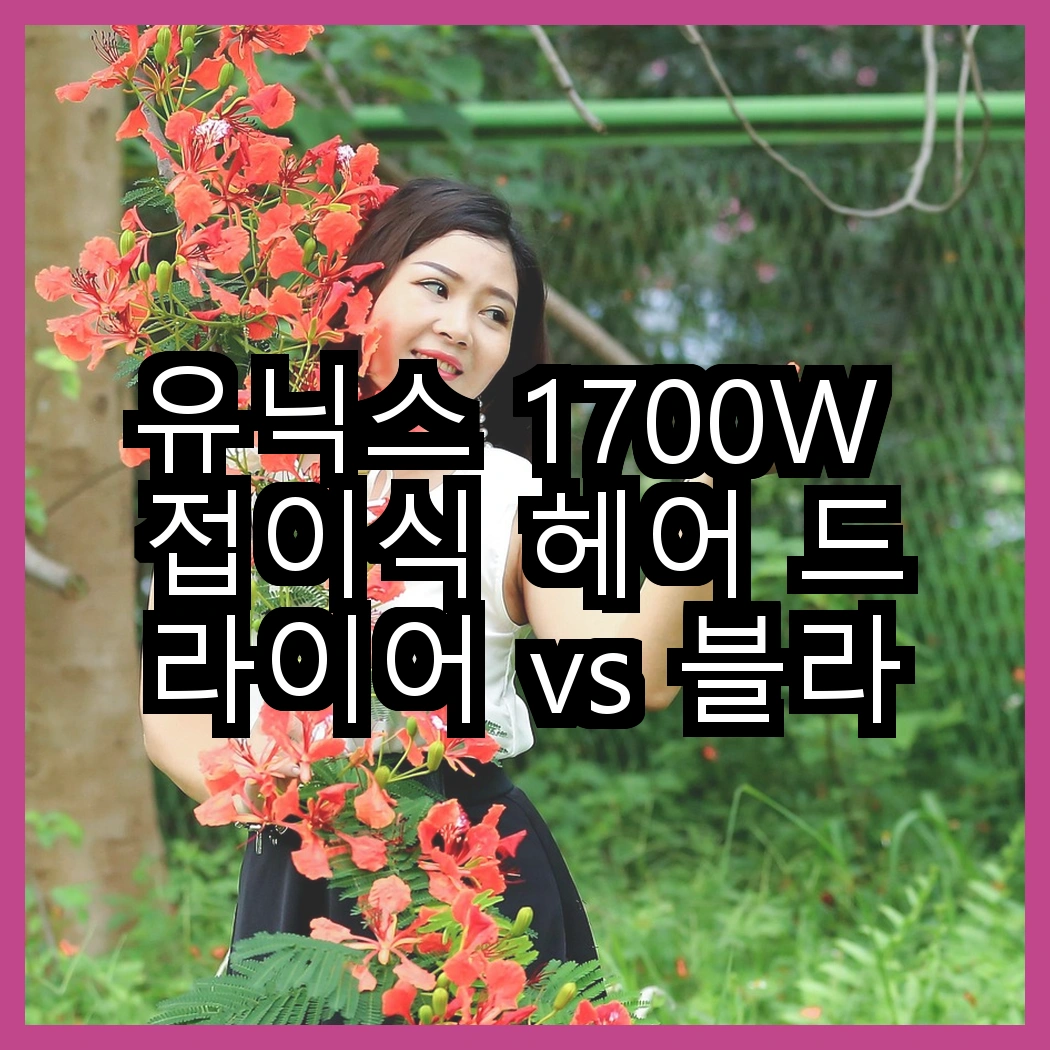 유닉스 1700W 접이식 헤어 드라이어 vs 블라우풍트 2400W 초고출력 드라이어, 어떤 선택이 더 현명할까? 썸네일