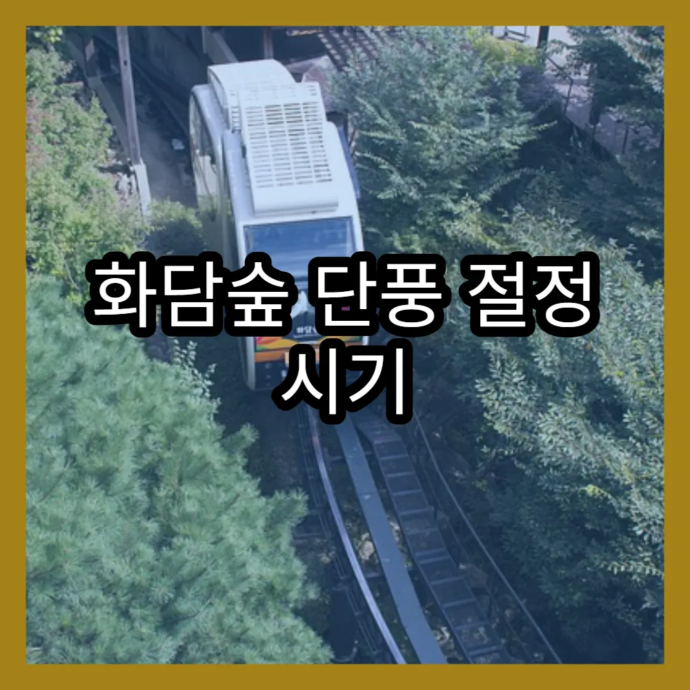 화담숲 단풍 절정 시기 2024년과 2025년 예상 일정