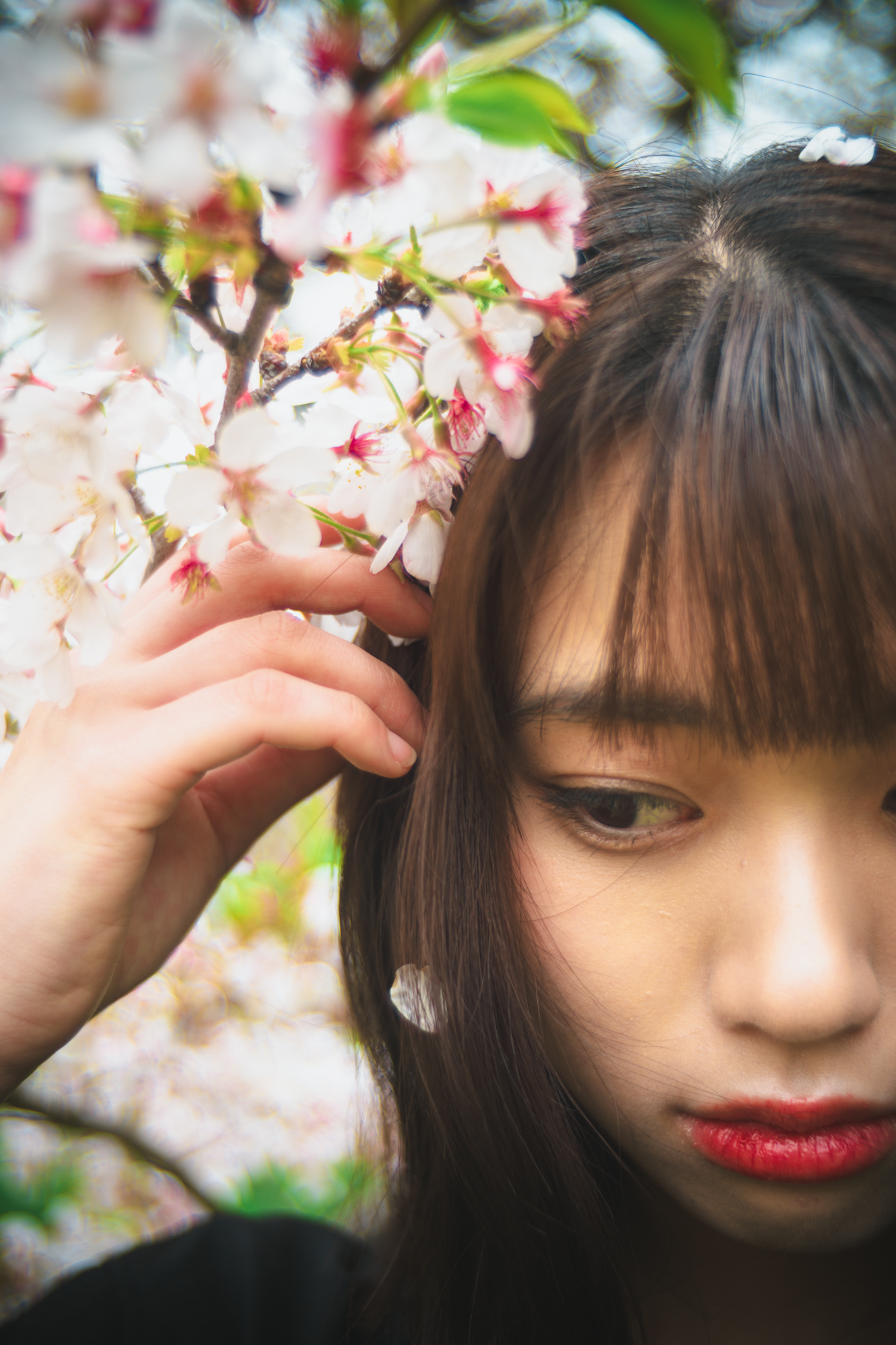 Portrait — Makino Shota