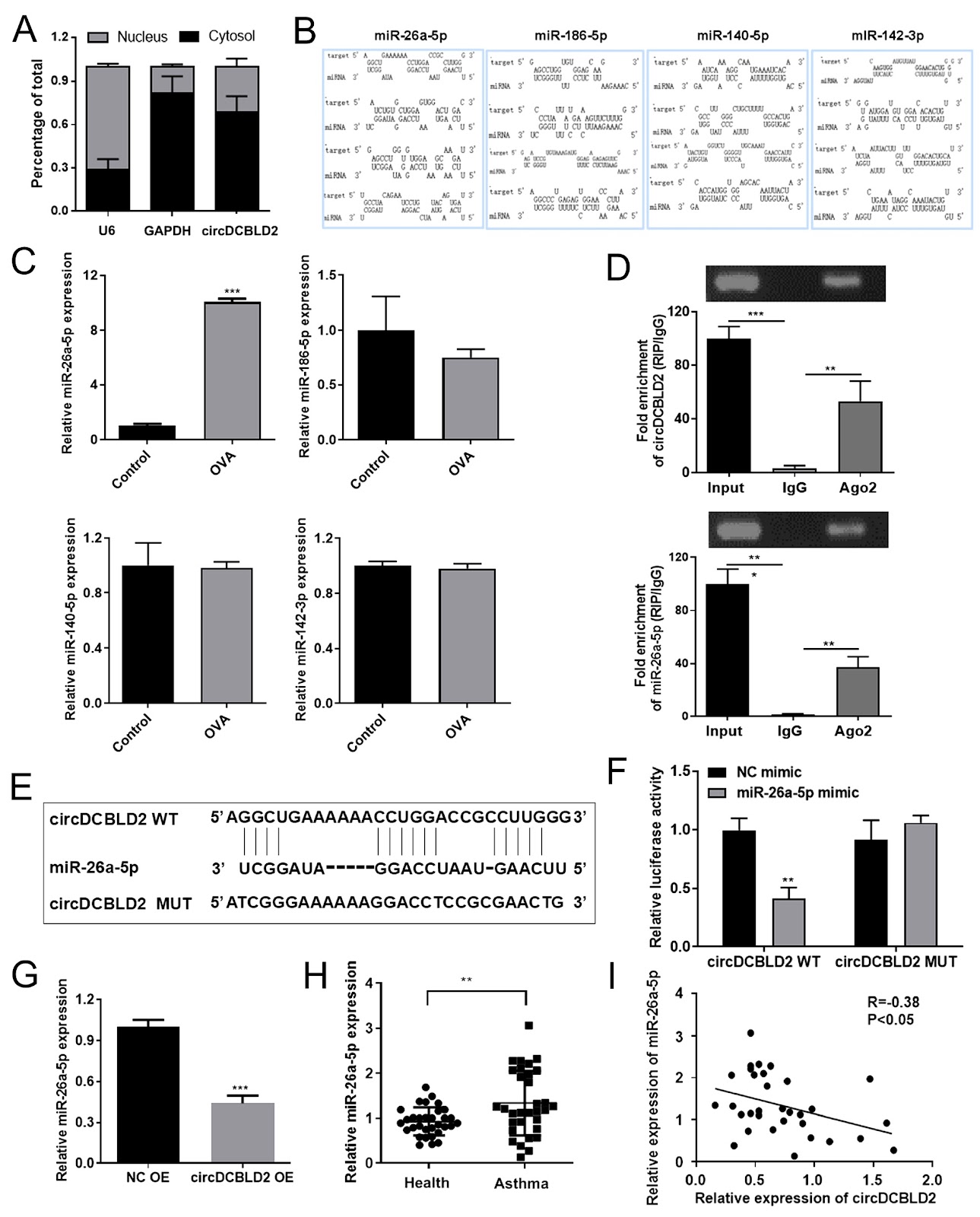 circDCBLD2 regulates the Th1/Th2 immune balance via the miR-26a-5p/PTEN axis