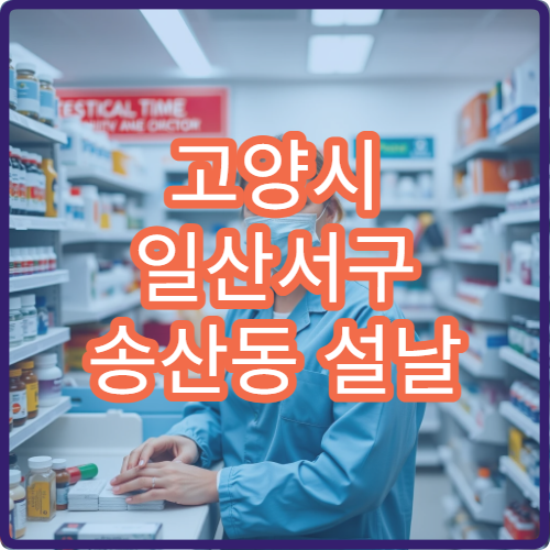 고양시 일산서구 송산동 설날 명절 연휴 약국 당직 영업 정보