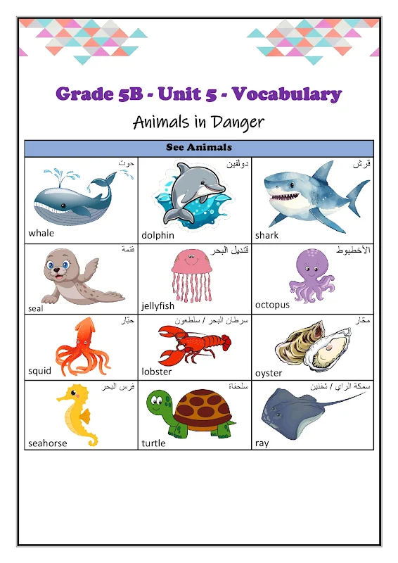 صورة الغلاف