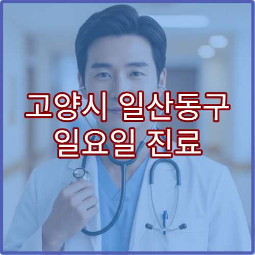 고양시 일산동구 일요일 진료 정형외과 병원 무릎 통증·허리 디스크 상담 가능