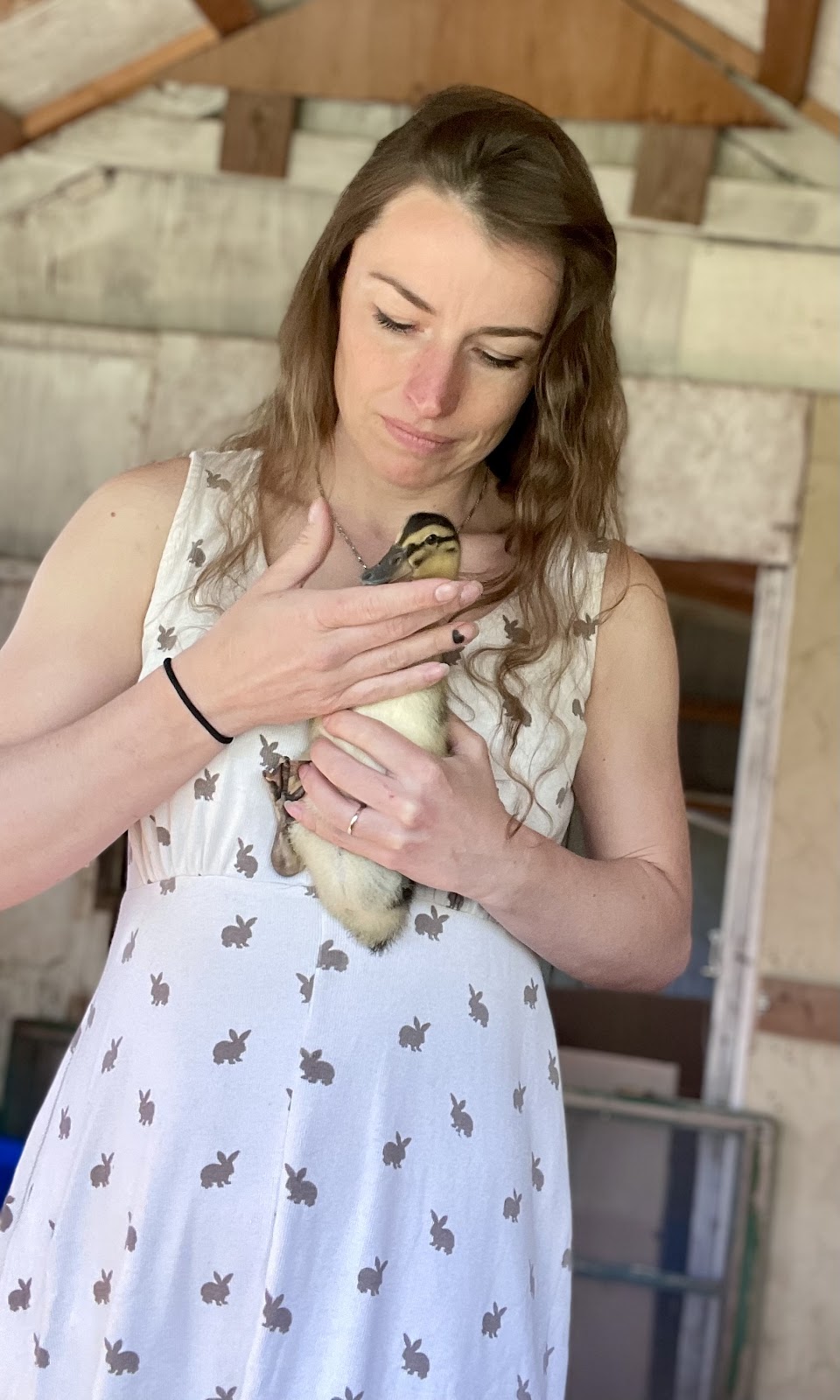 Silver Appleyard Duckling