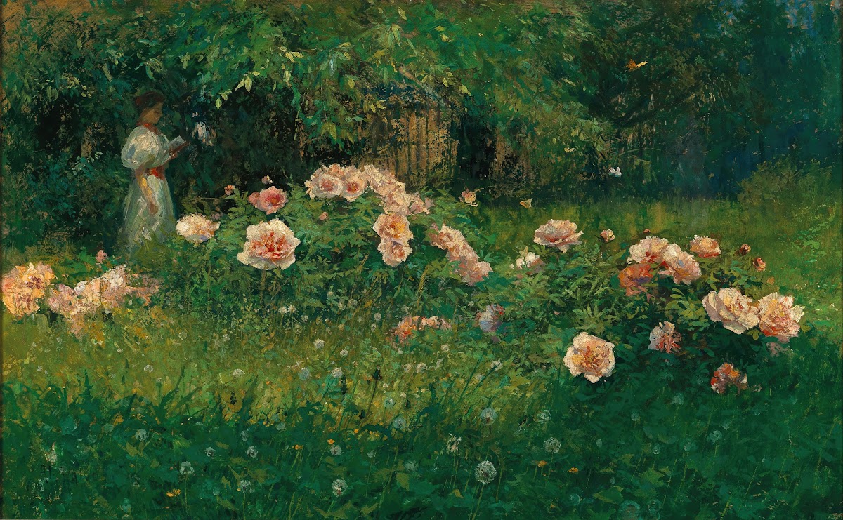 A Rose Garden