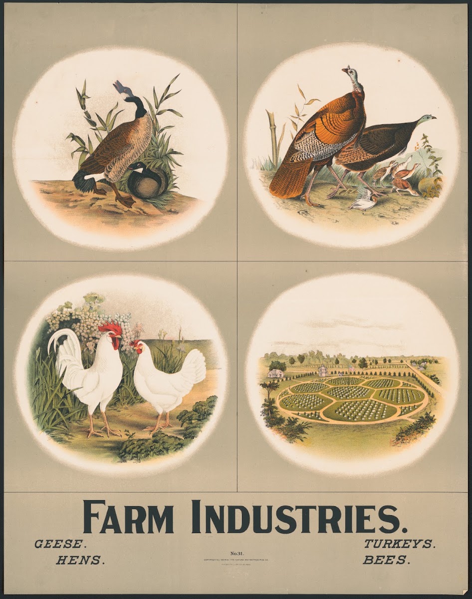 Farm industries 1903
