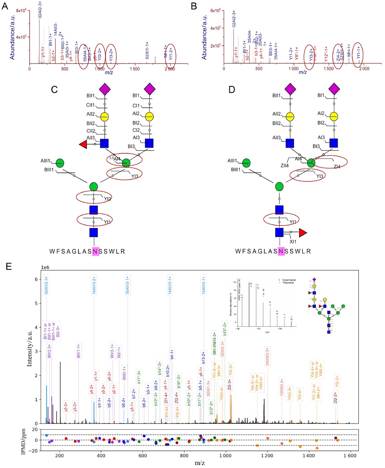Mass spectrometry-based structure-specific N-glycoproteomics and biomedical applications