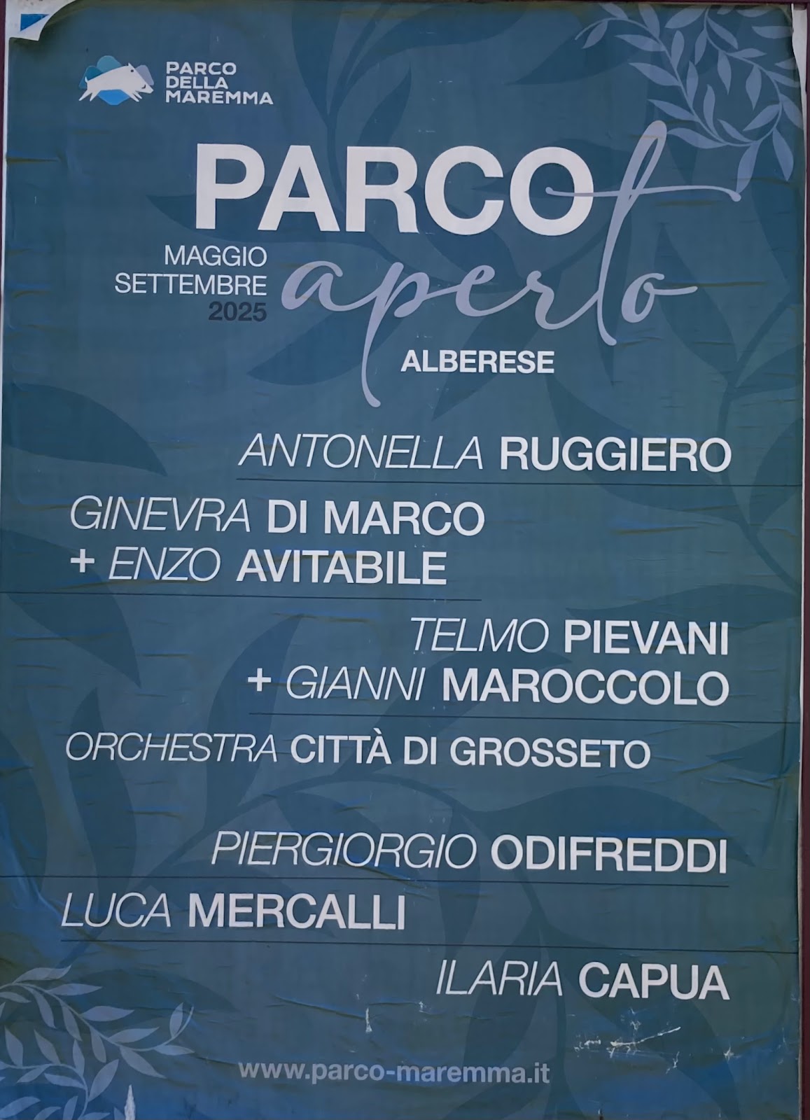 Immagine