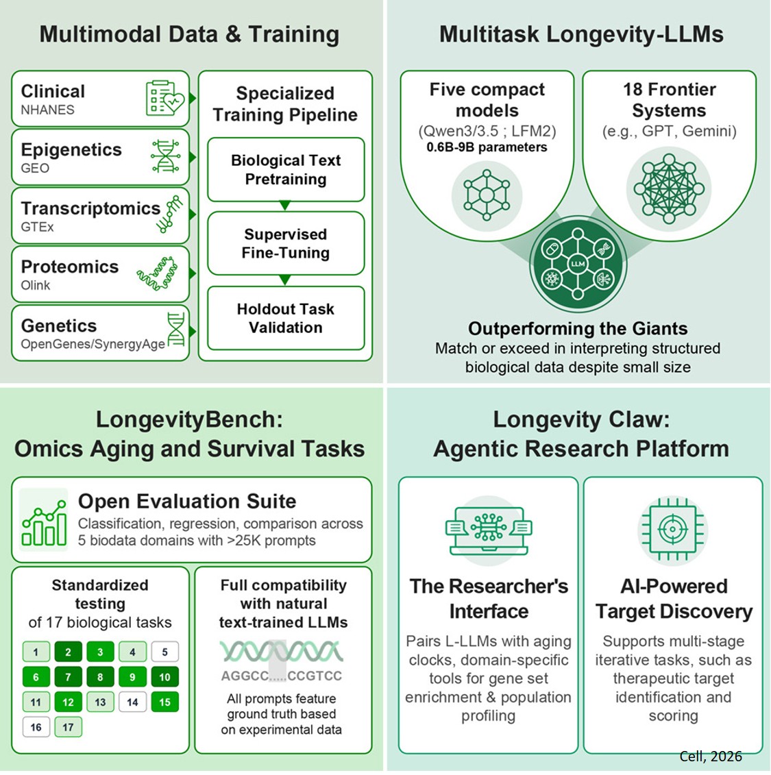 AI language models for aging biology