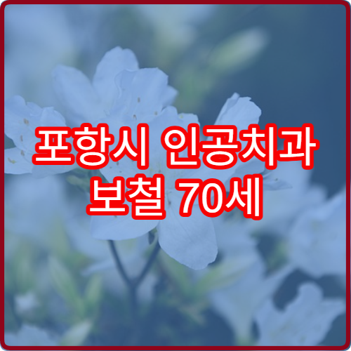 포항시 인공치과 보철 70세 2026 지원 한도 상향