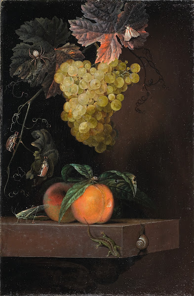 Still Life with Fruit Lizard and Insects 1664