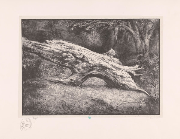Boomstronk Le Charlemagne Fontainebleau 1931