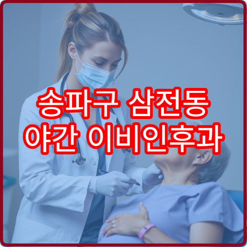 송파구 삼전동 야간 이비인후과 진료 병원 야간 진료 정보