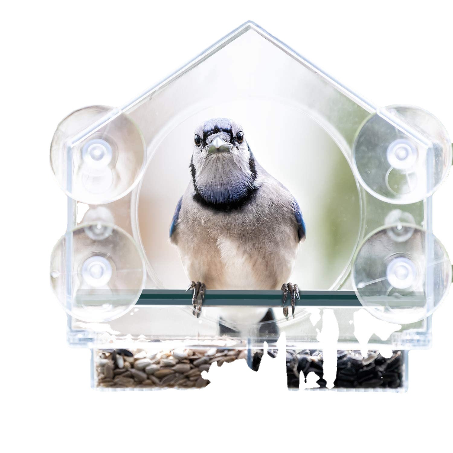 Acrylic Birdhouse Feeder
