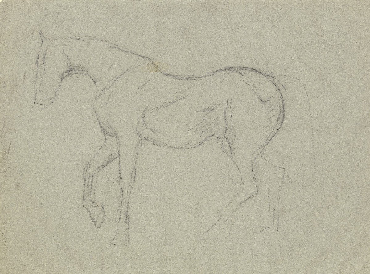 Horse study