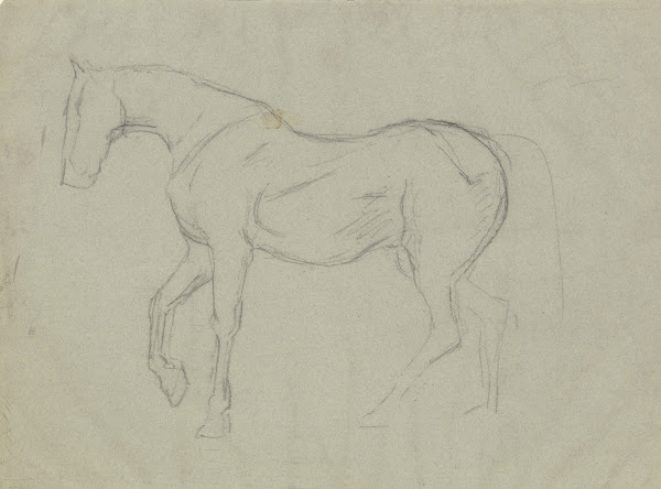 Horse study