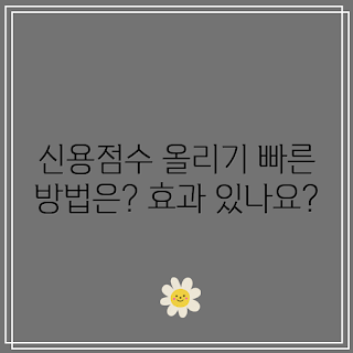 신용점수 올리기, 신용향상 방법, 신용 관리, 신용점수 팁, 신용 개선