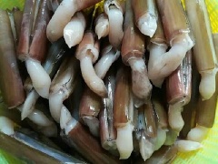 Ốc móng tay rửa qua nước muối cho nhã hết phần đất các bên trong ra ngoài. Cách này giúp ốc sạch hơn để khi ăn không có cảm giác bị sạn trong miệng. Sả cắt gốc, rửa sạch, xắt lát. Ớt rửa sạch, xắt miếng xéo.