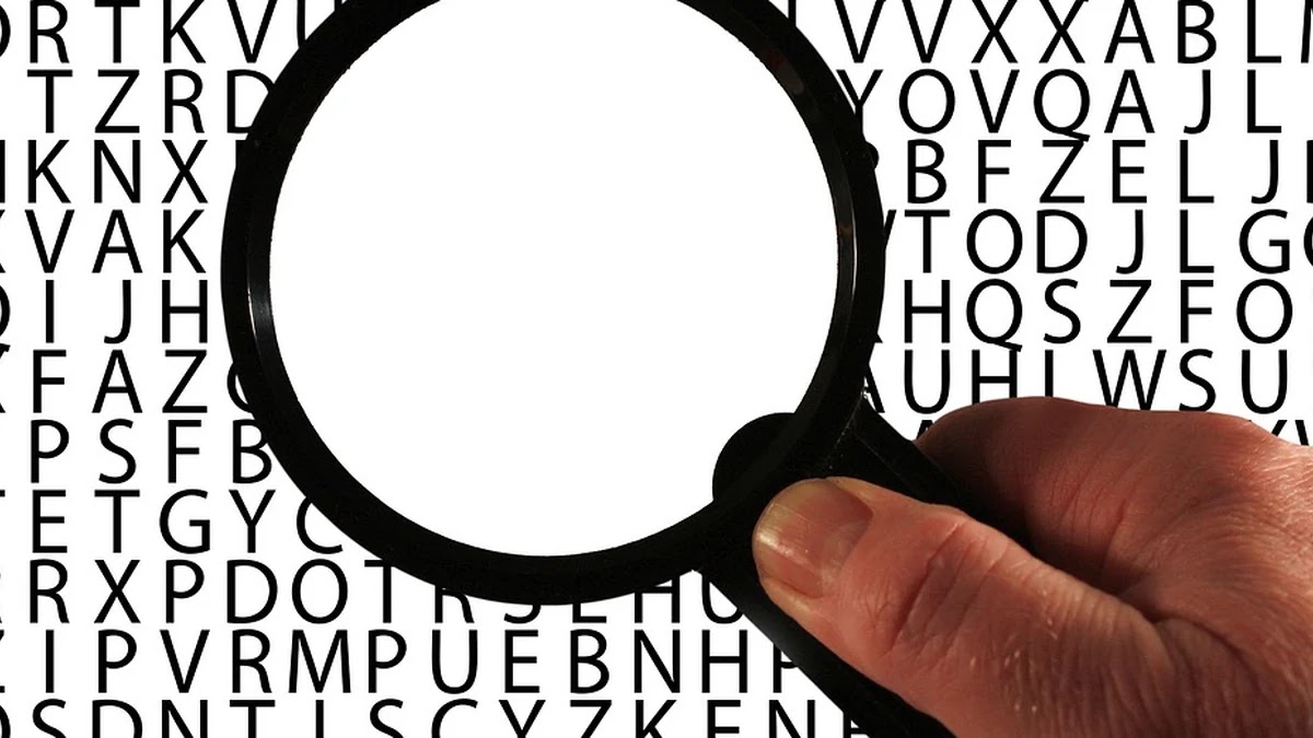 논리적 오류와 인지 편향의 차이점과 사고 개선법