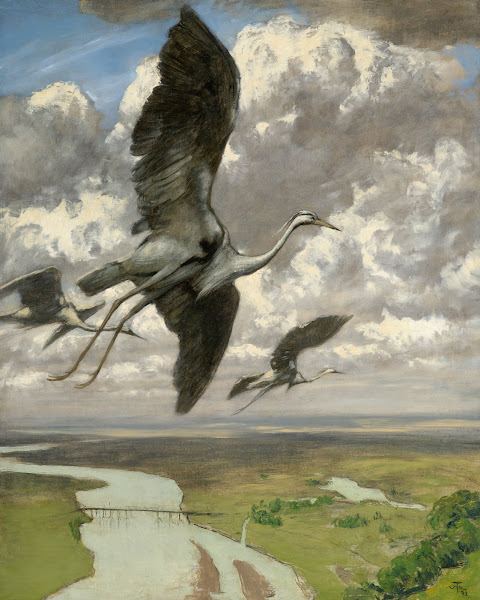 Wondrous birds 1892