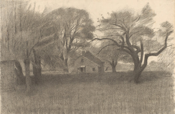 Rural Landscape 191124