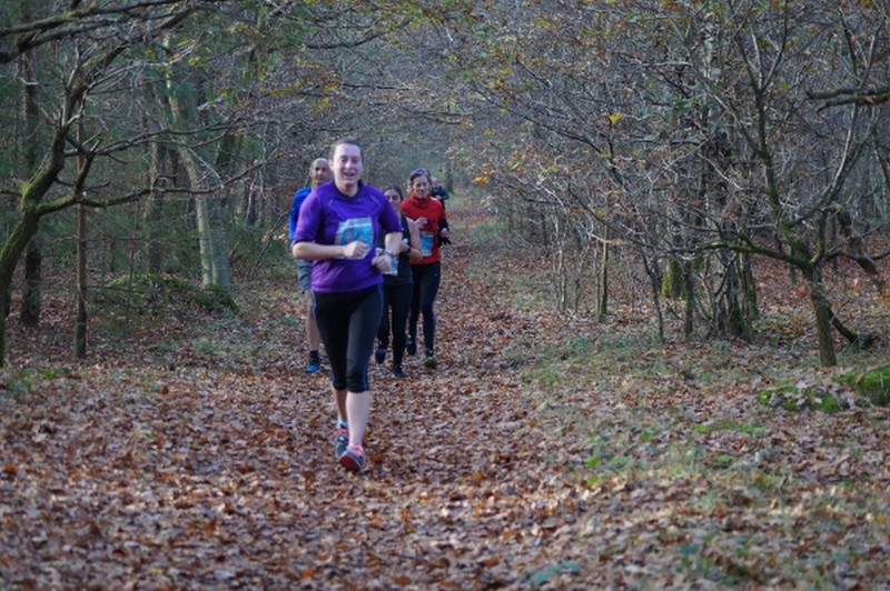 Run Breckland Forest 10K