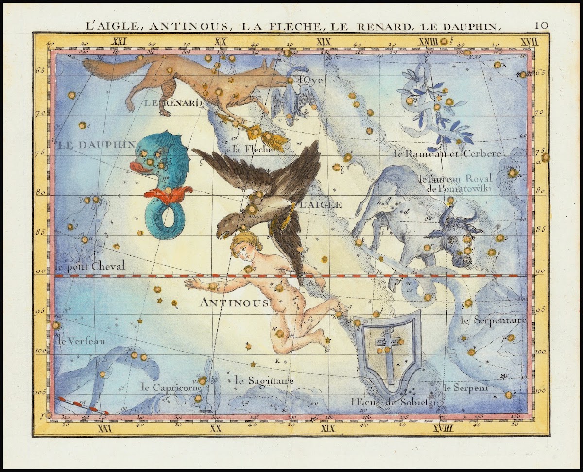LAigle Antinous La Fleche Le Renard Le Dauphin Aquila Sagitta Vulpecula  Anser D