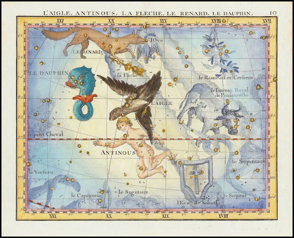 LAigle Antinous La Fleche Le Renard Le Dauphin Aquila Sagitta Vulpecula  Anser D