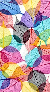 Vibrant Rainbow Skeleton Leaves Abstract Pattern Overlay