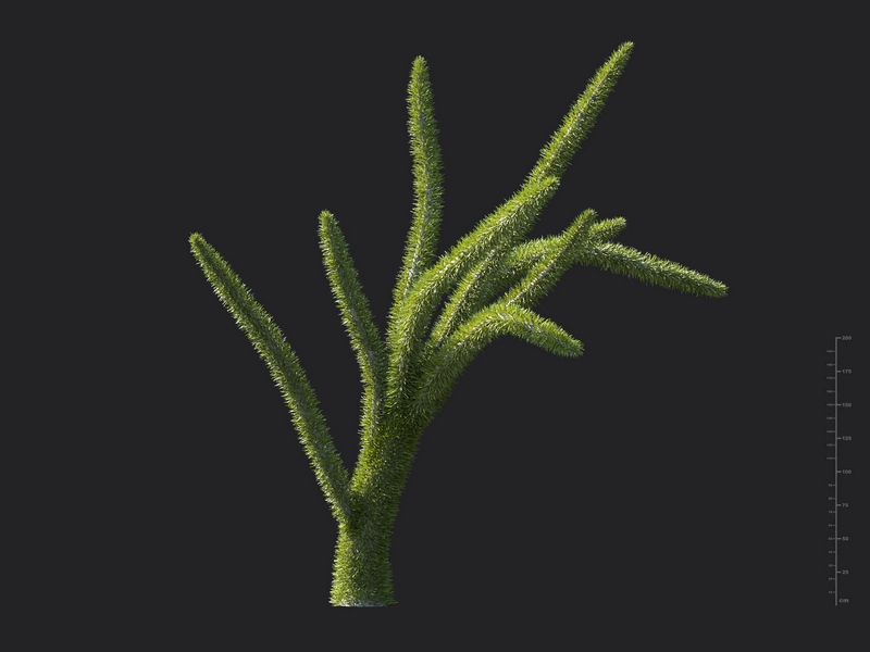 Maxtree - Plant Models Vol.130