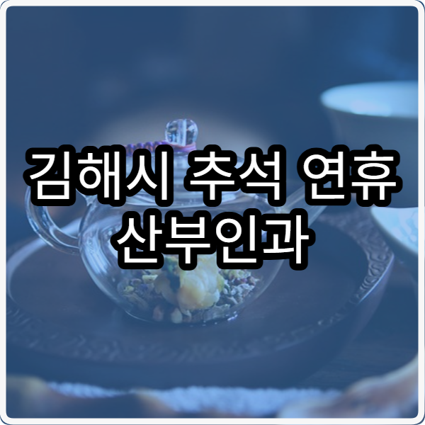 김해시 추석 연휴 산부인과 진료 병원 응급실 포함 안내