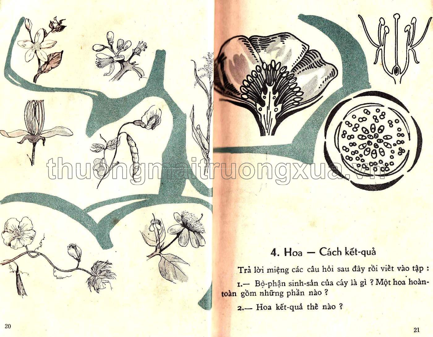 Em tìm hiểu khoa học lớp nhất (1966) - Trang 12