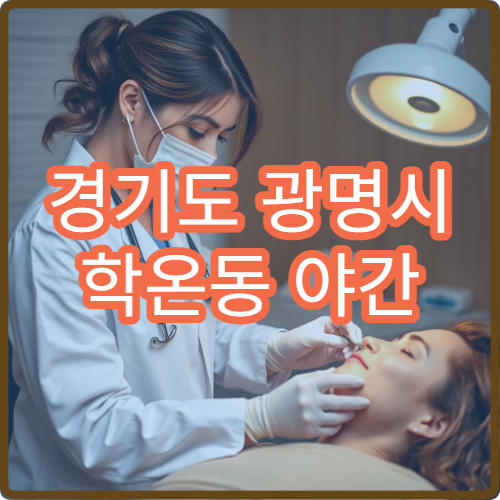 경기도 광명시 학온동 야간 안과 진료 병원
