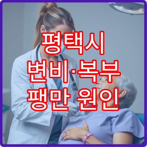 평택시 변비·복부 팽만 원인 진단과 장 기능 관리 가능한 소화기내과