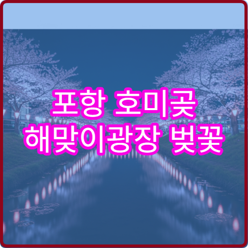 포항 호미곶 해맞이광장 벚꽃 캠핑 의자 피크닉 해질녁 명당 팁